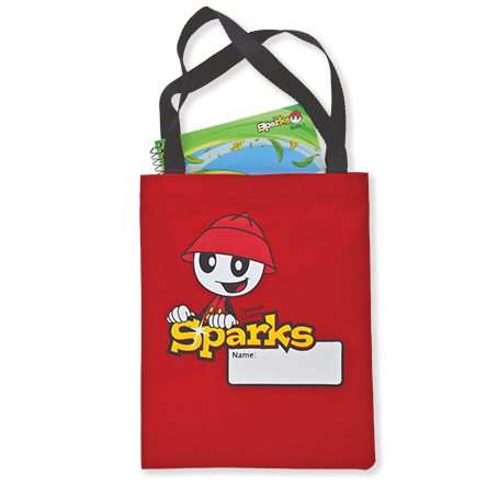 sparks-hanbook-bag.png